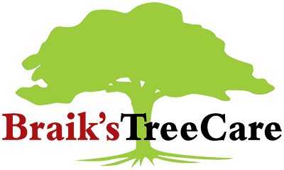 Logo for Braik's Tree Care, Certified Arborist Service in Columbia, MO.