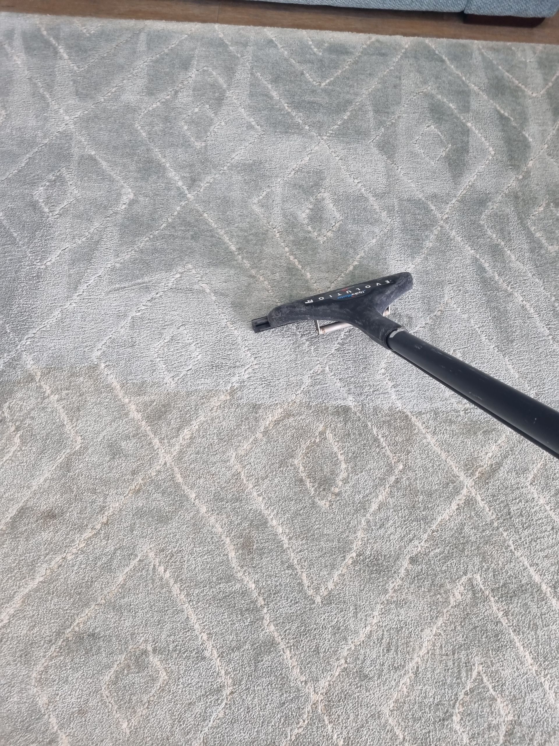 A Person using a vacuum to clean a rug  — Pinnacle Carpet & Upholstery Cleaning In Central Coast, NSW