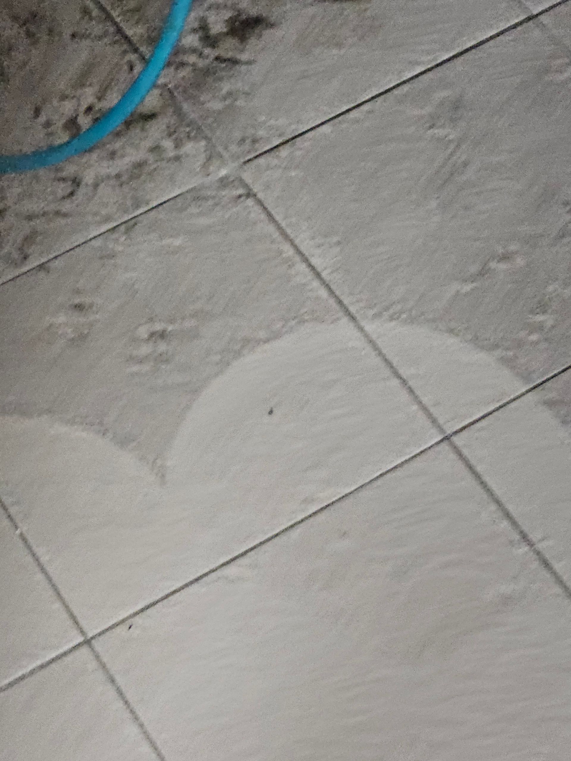 Tiles in the process of being cleaned Pinnacle Carpet Cleaning in Central Coast, NSW
