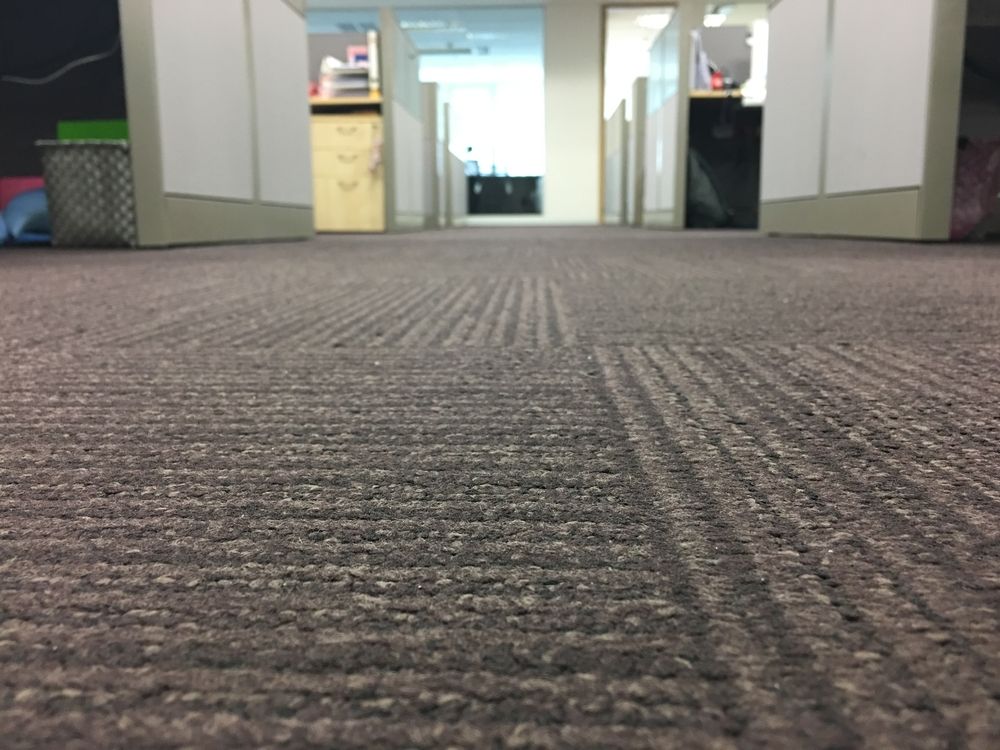 A close up of a carpeted floor in an office — Pinnacle Carpet & Upholstery Cleaning In Lake Macquarie, NSW