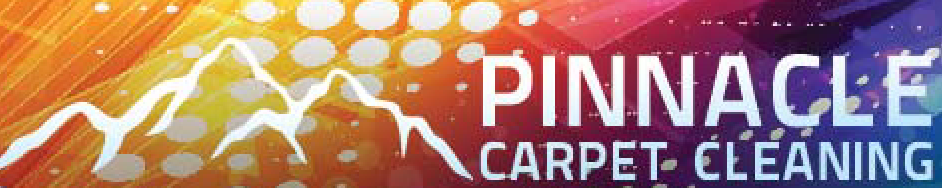 Professional Carpet Cleaning Central Coast