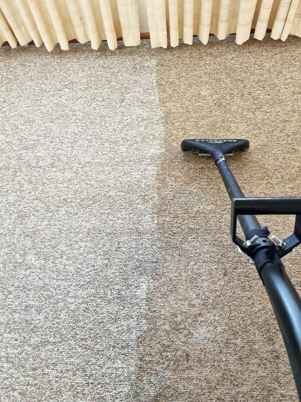 A Vacuum Cleaner Is Cleaning A Carpet In A Living Room — Pinnacle Carpet & Upholstery Cleaning In Wyong, NSW