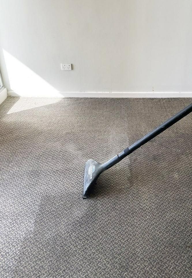 A Vacuum Cleaner Is Being Used To Clean A Carpet In A Living Room — Pinnacle Carpet & Upholstery Cleaning In Wyong, NSW