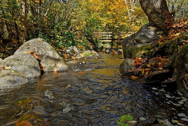 Wooden Bridge over creek with rocks and trees