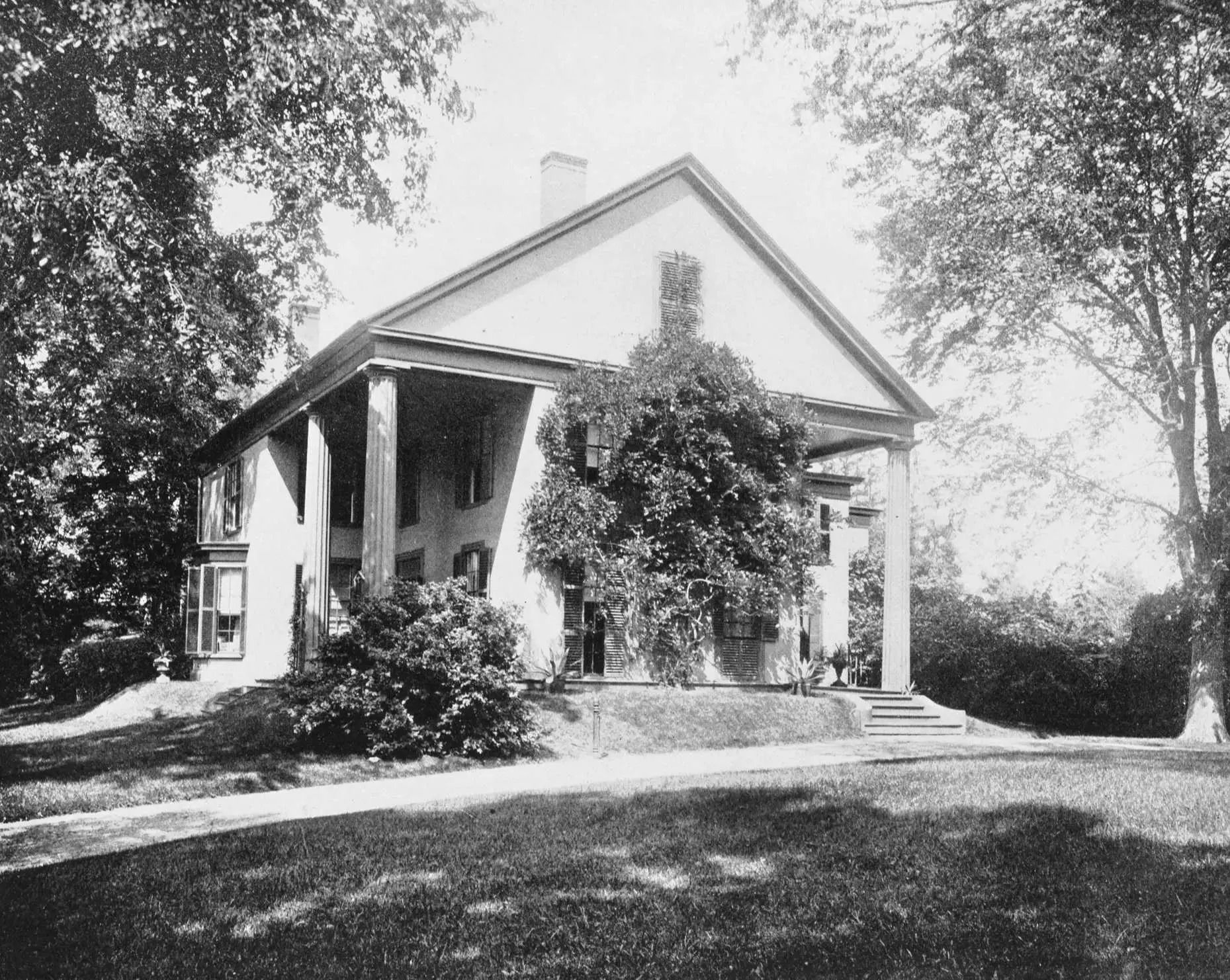 Greek Revival style house with large columns and overgrown vines.