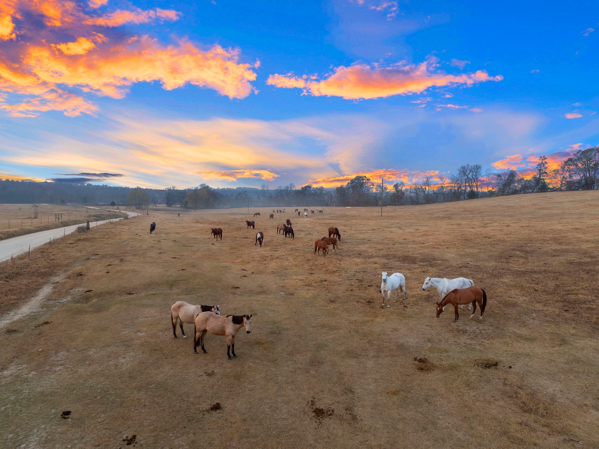 Horses graze in a vast, dry field under a vibrant orange and blue sunset sky.