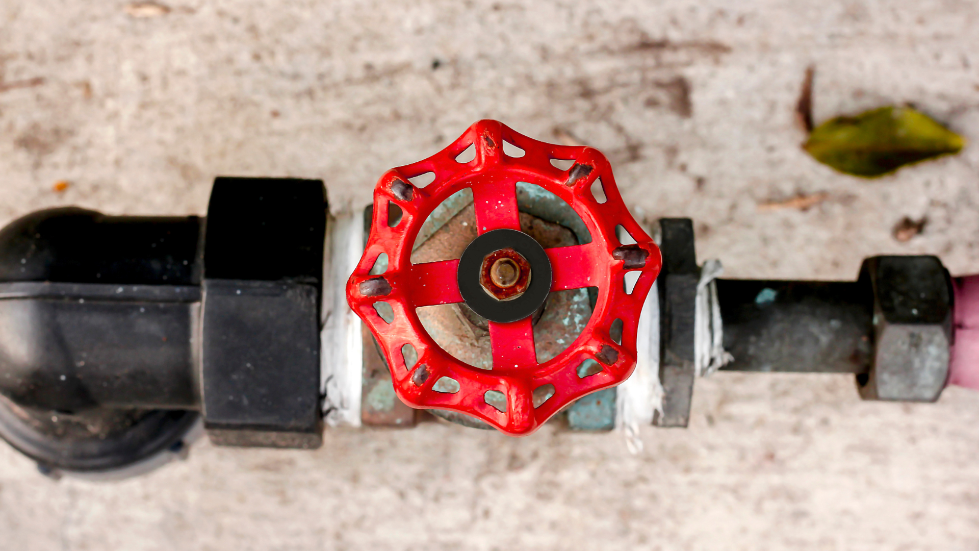 A close up of a red valve on a water pipe.