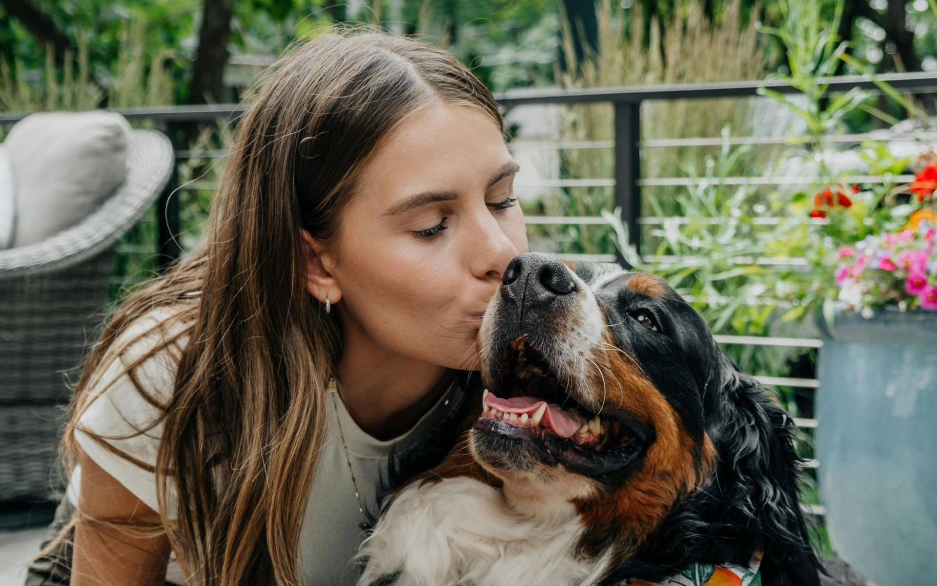 Woman kissing a Bernese Mountain Dog outdoors. The dog has its tongue out, flowers in the background.