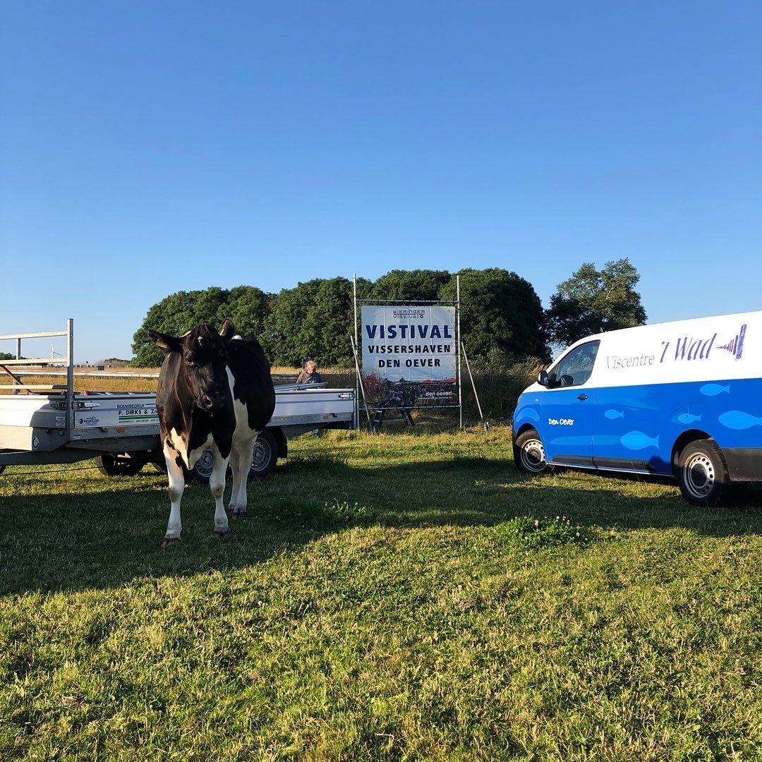 spandoeken VIStival by reclamestudio Morant