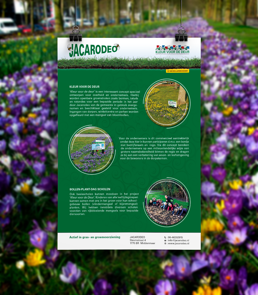 A4 infosheet Jacarodeo by reclamestudio Morant