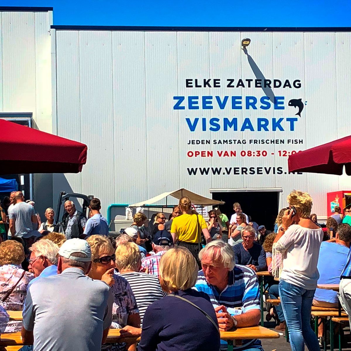 One-way-vision visuals - Historisch Wieringen