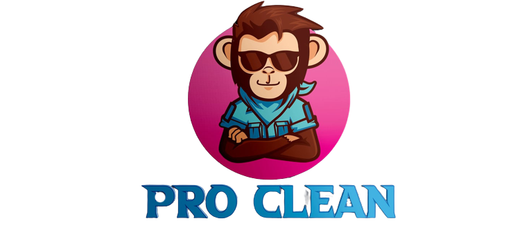 ProClean Logo1