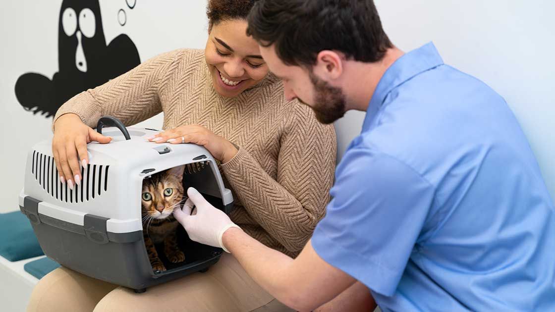 Woman and vet in a vet clinic with a cat in a carrier. They're both smiling, and the vet is petting the cat.