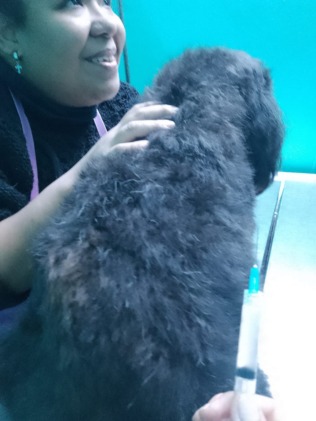 Veterinaria Dogtoras