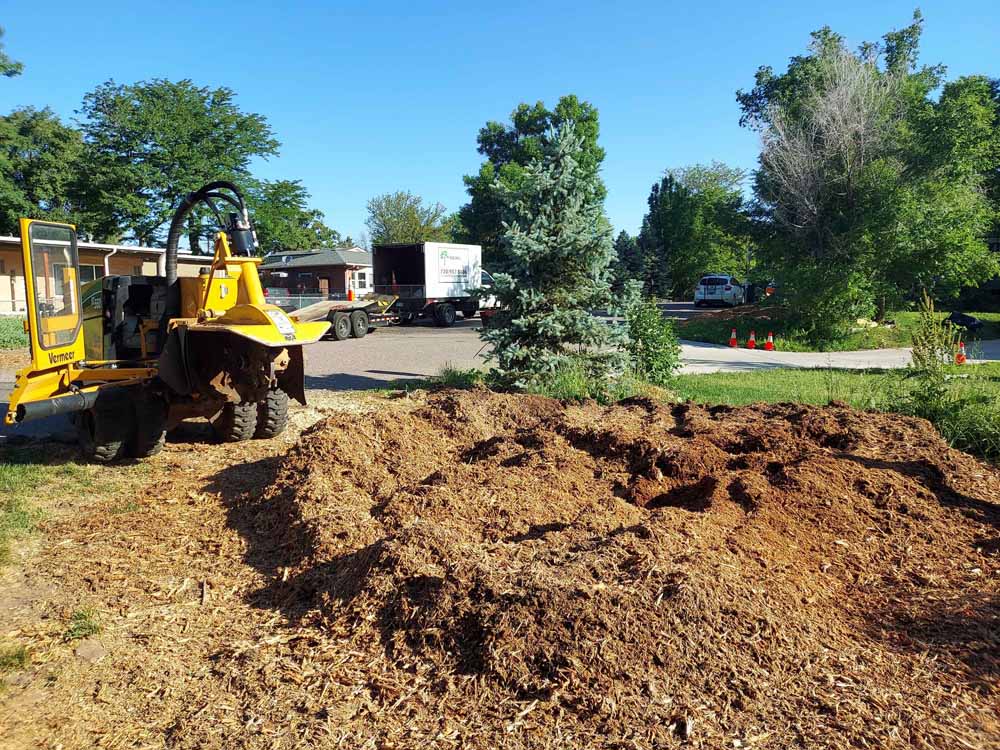 A yellow stump grinder is working on a tree stump