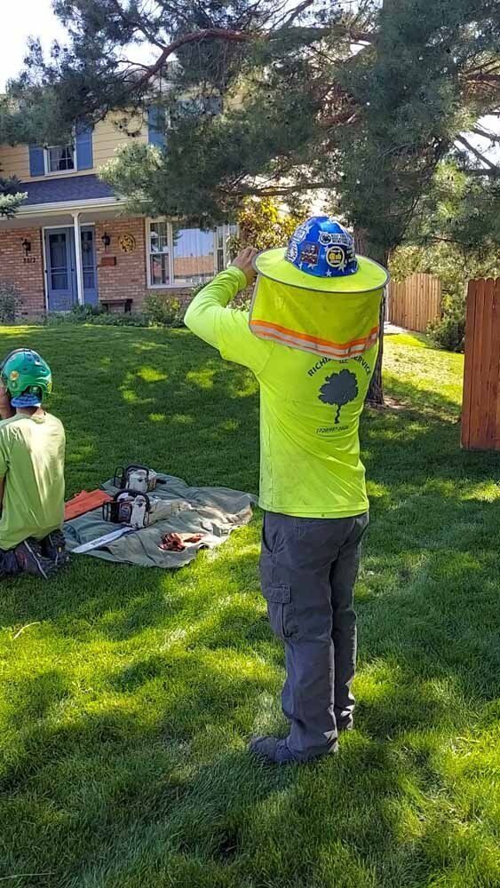 A man wearing a beekeeper hat is standing in the grass.