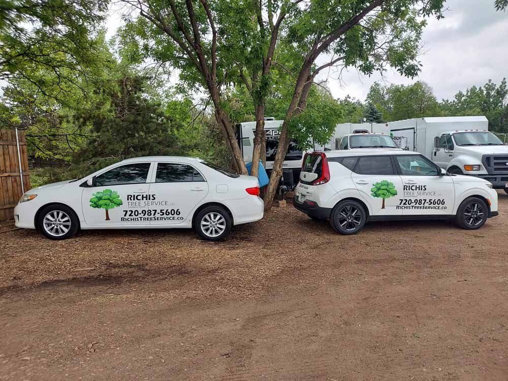 Two cars are parked next to each other in a dirt lot.