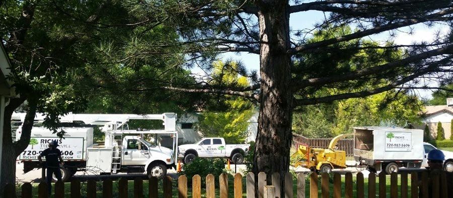 A group of trucks are parked in front of a fence.