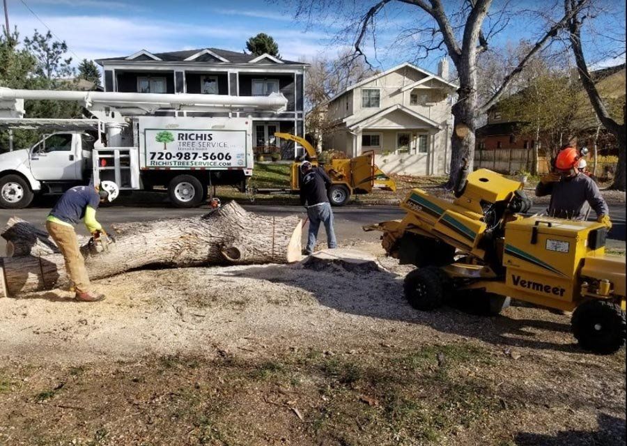 A stump grinder is being used to remove a large tree stump.