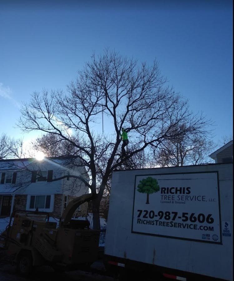 A truck that says richis tree service is parked next to a tree.