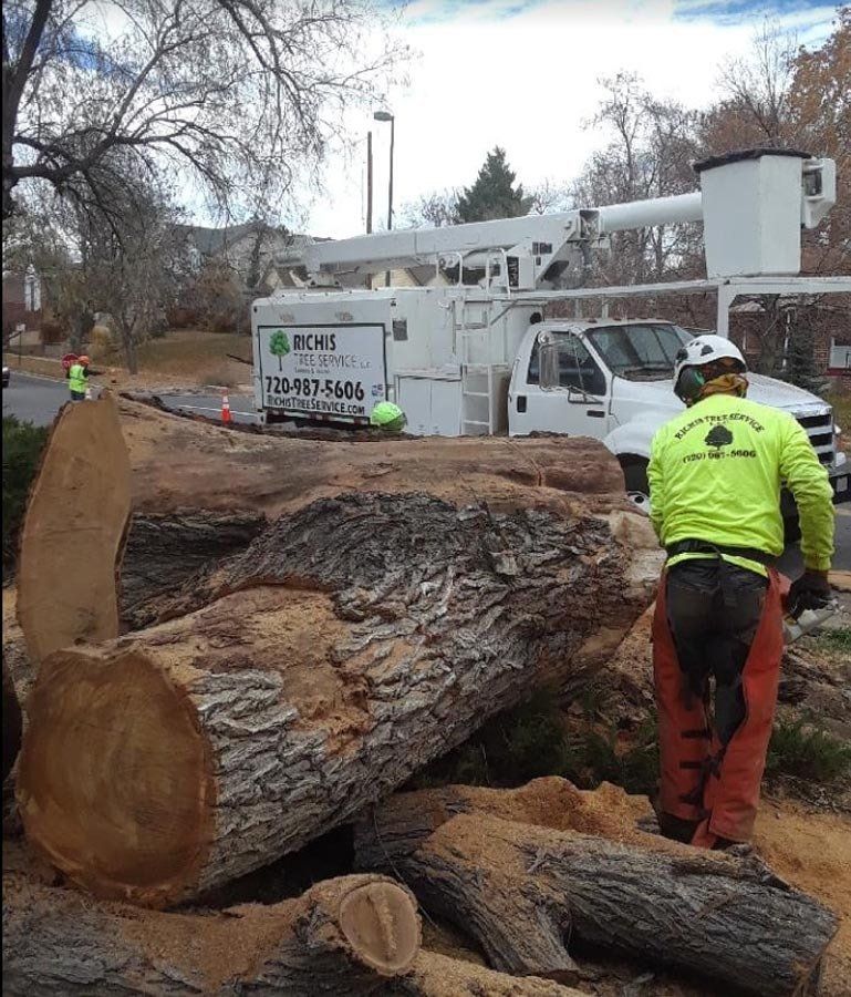 A man in a yellow jacket is standing next to a large log.