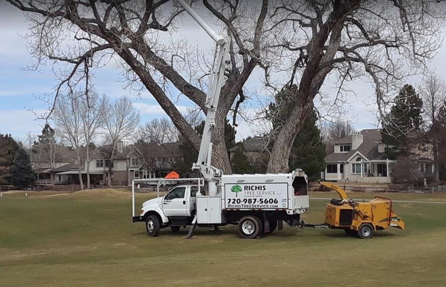 A tree trimming truck is parked in a grassy field next to a large tree.