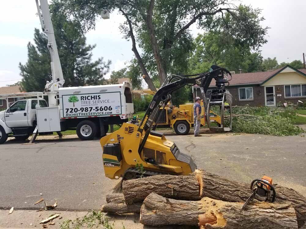 A truck is parked on the side of the road next to a pile of logs.