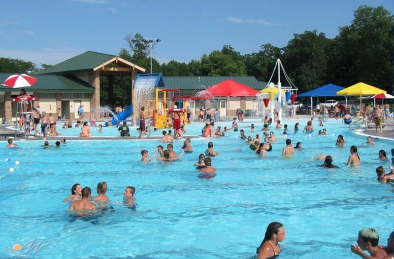 A large group of people are swimming in a swimming pool