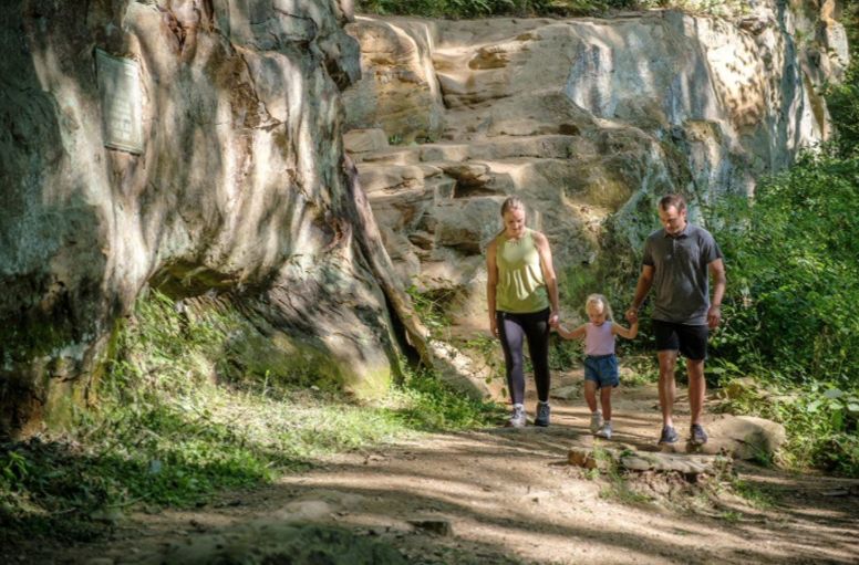 A family is walking down a path in the woods.