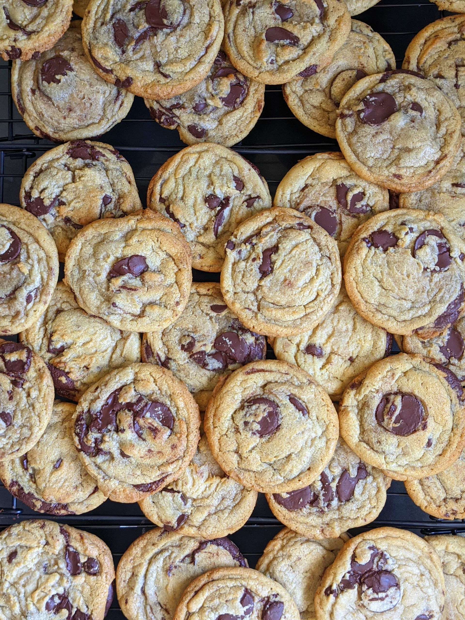 chocolate chip cookies