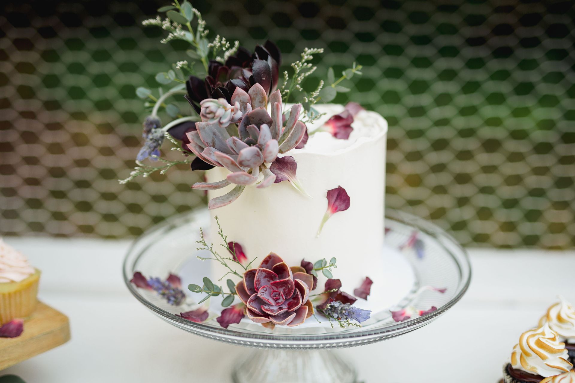 single tier wedding cake with succulent decor and fresh flowers