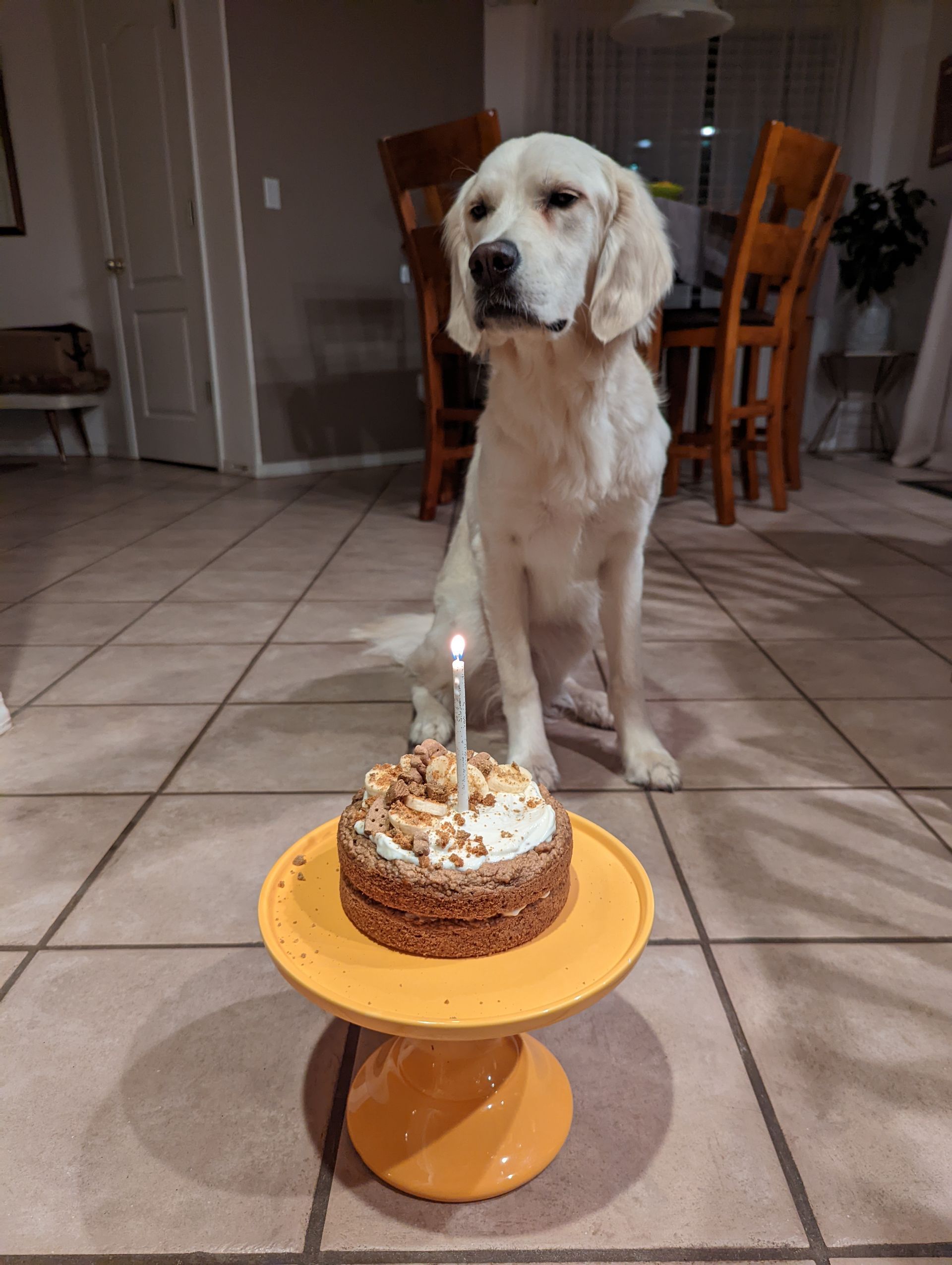 Doggie Birthday Cake