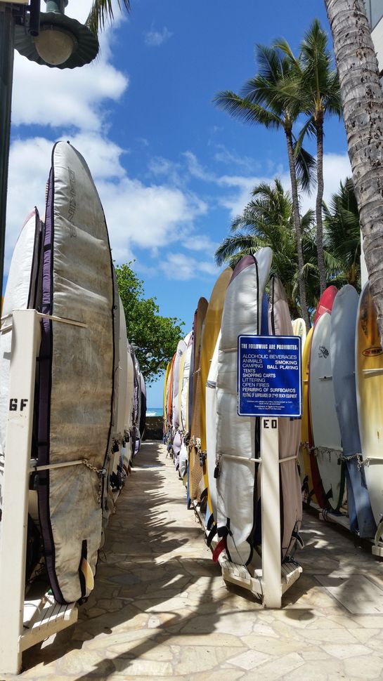 Rows of surfboards lined vertically in the sand at the beach in Hawaii