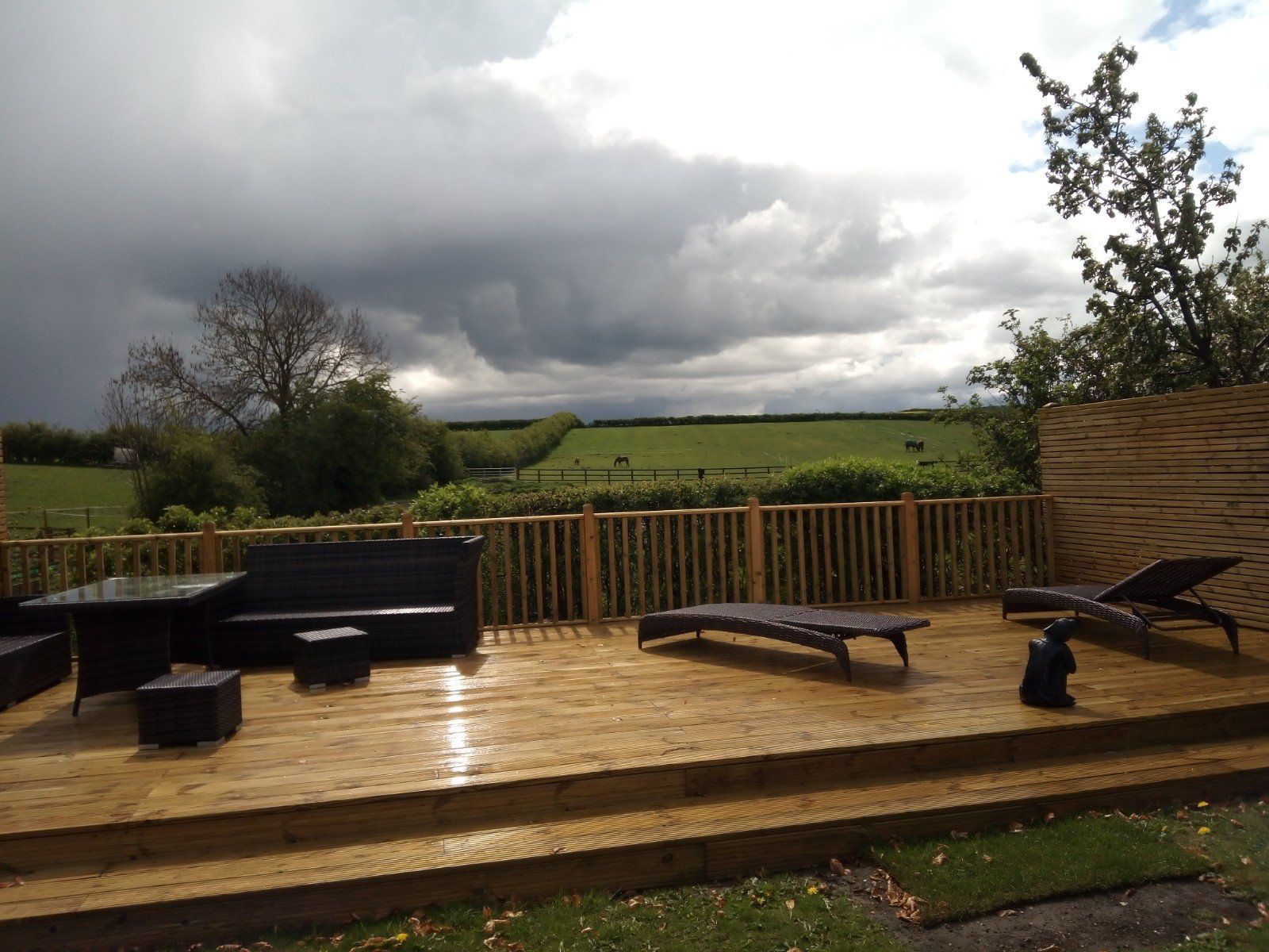 New Drive and Garden Design and Transformation