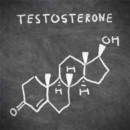 how testosterone is made