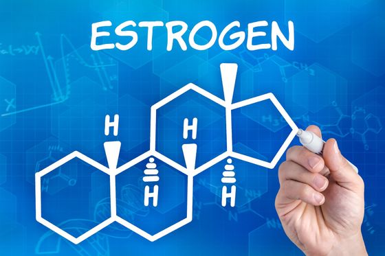 reduce exposure to estrogen like chemicals