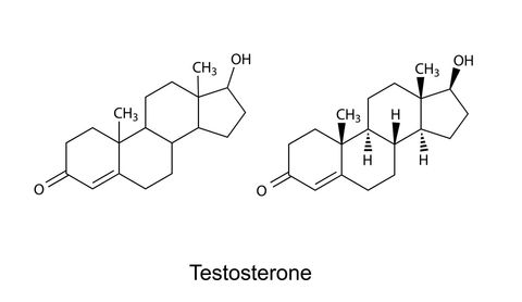 testosterone molecule structure
