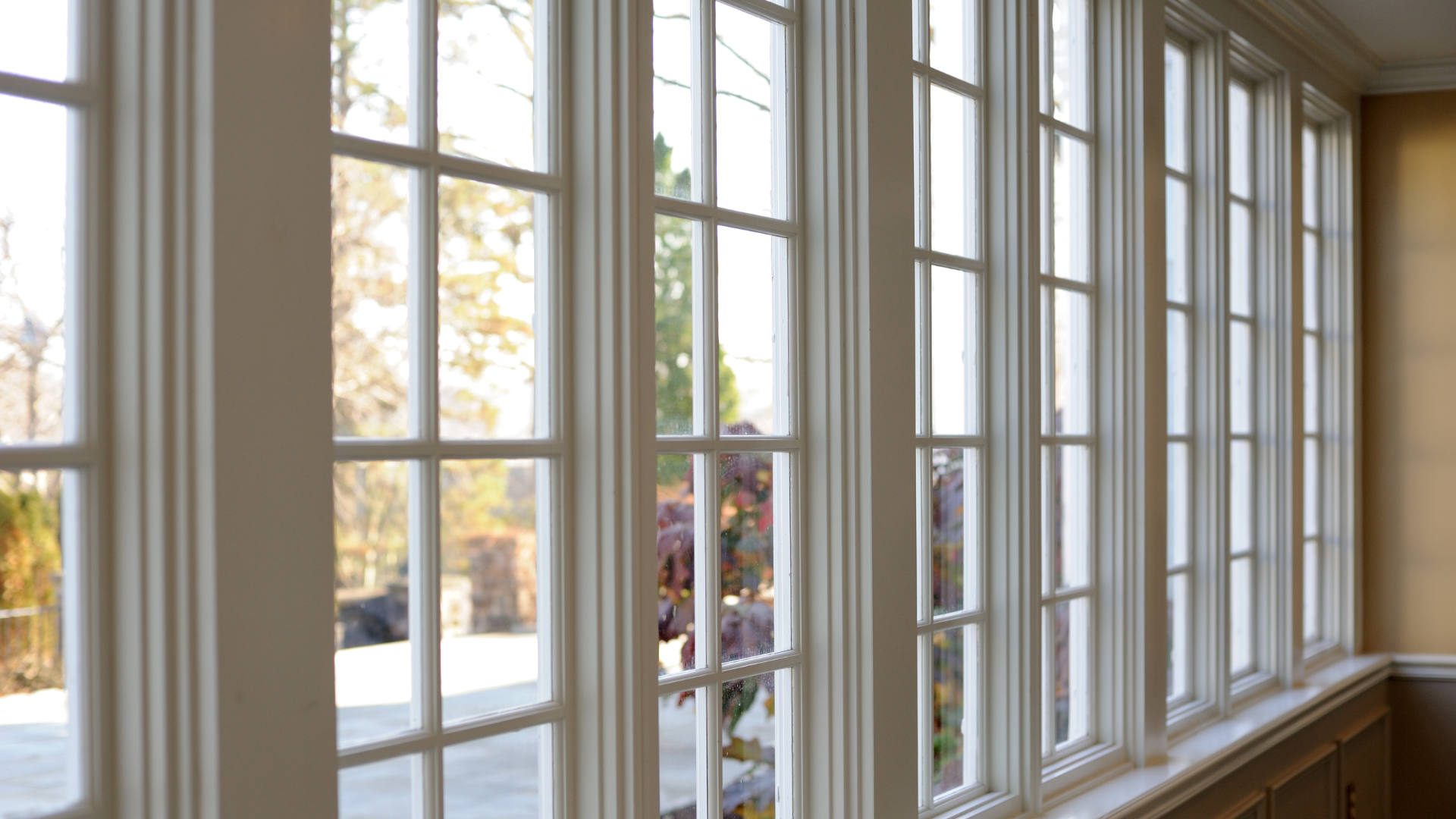 A room with a lot of windows and a vase of flowers in the window.