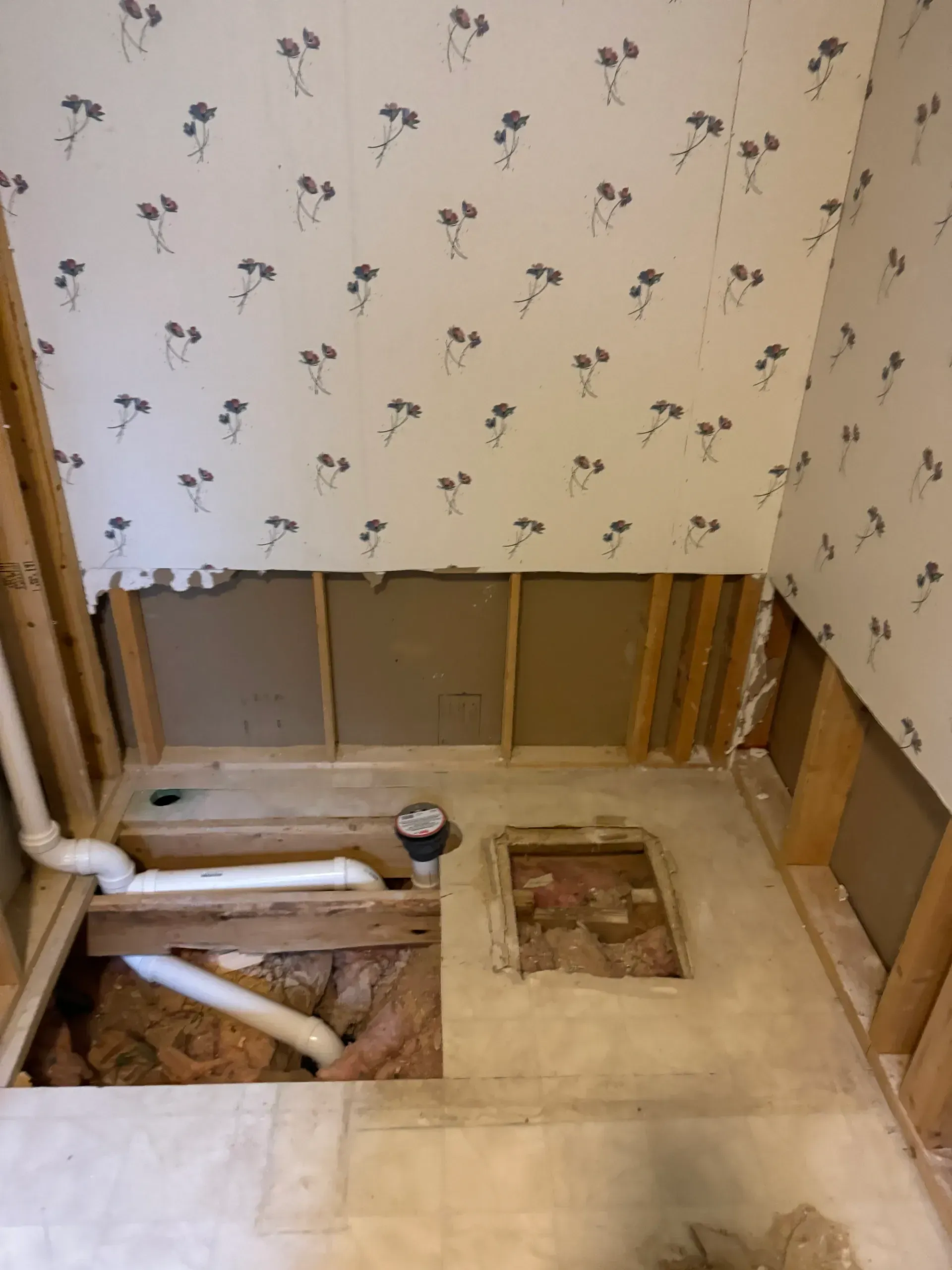 Bathroom renovation in progress, partially gutted. Exposed studs, plumbing, and torn wallpaper visible.