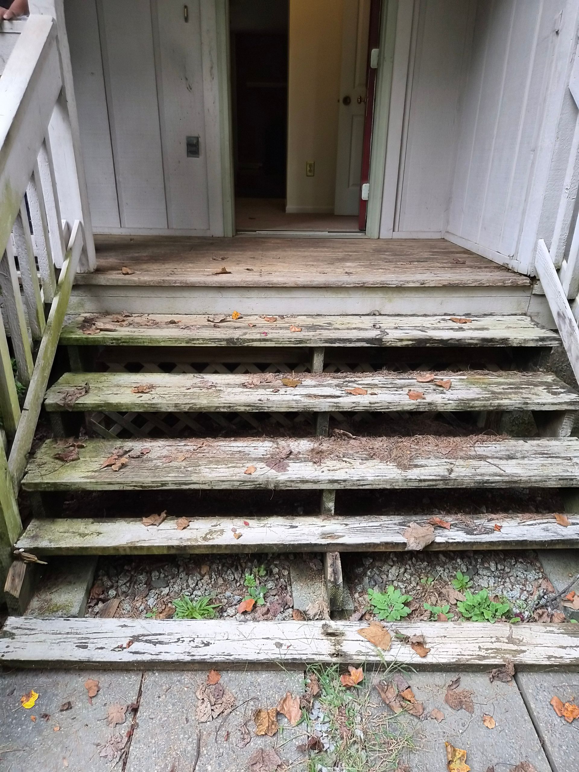 Dilapidated wooden steps leading to a doorway, covered in leaves and debris.