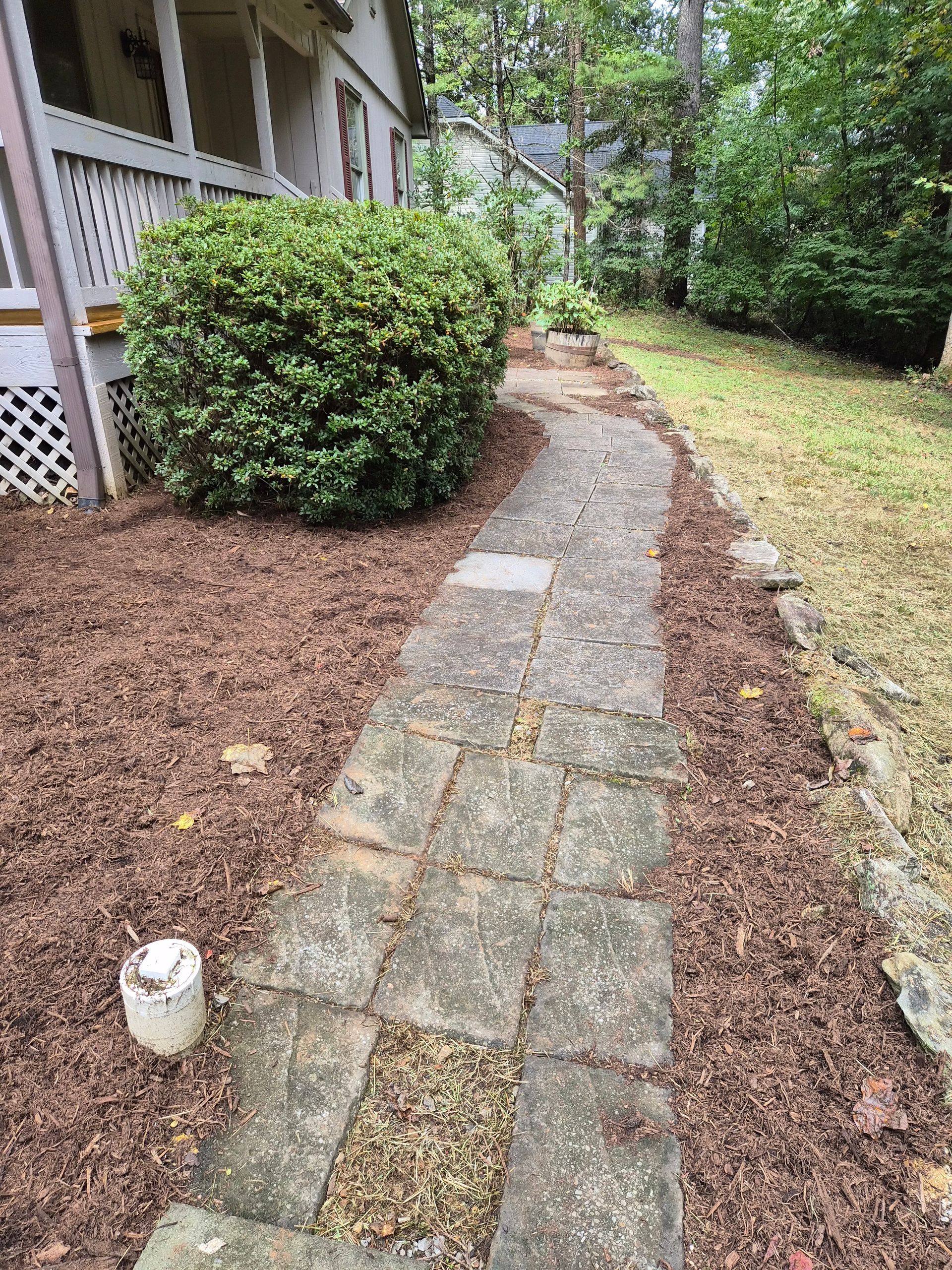 Stone path in a yard, edged with wood mulch. A rounded bush sits near a porch with lattice.