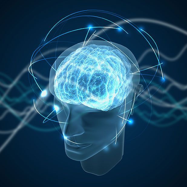 Cursos de Capacitación