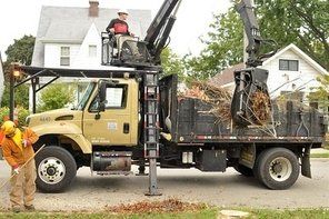 tree removal truck clearing cut branches from yard