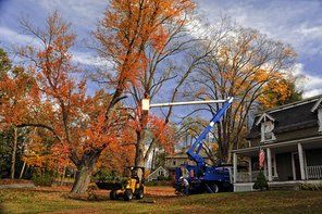 tree contractors using a crane and a tractor to remove branches from yard tree