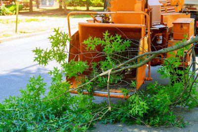 trimmed tree branches and limbs going through a wood chipper