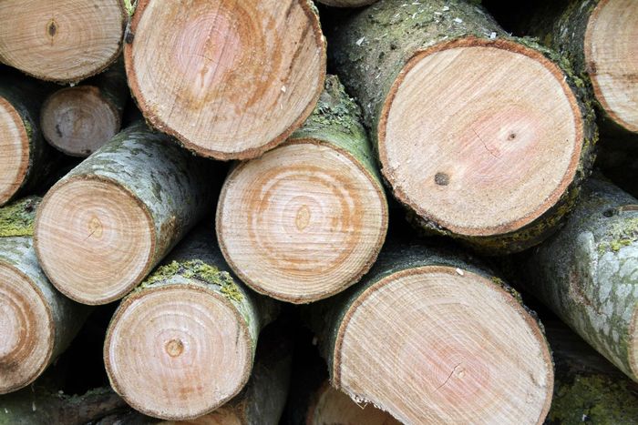 A pile of logs stacked on top of each other.