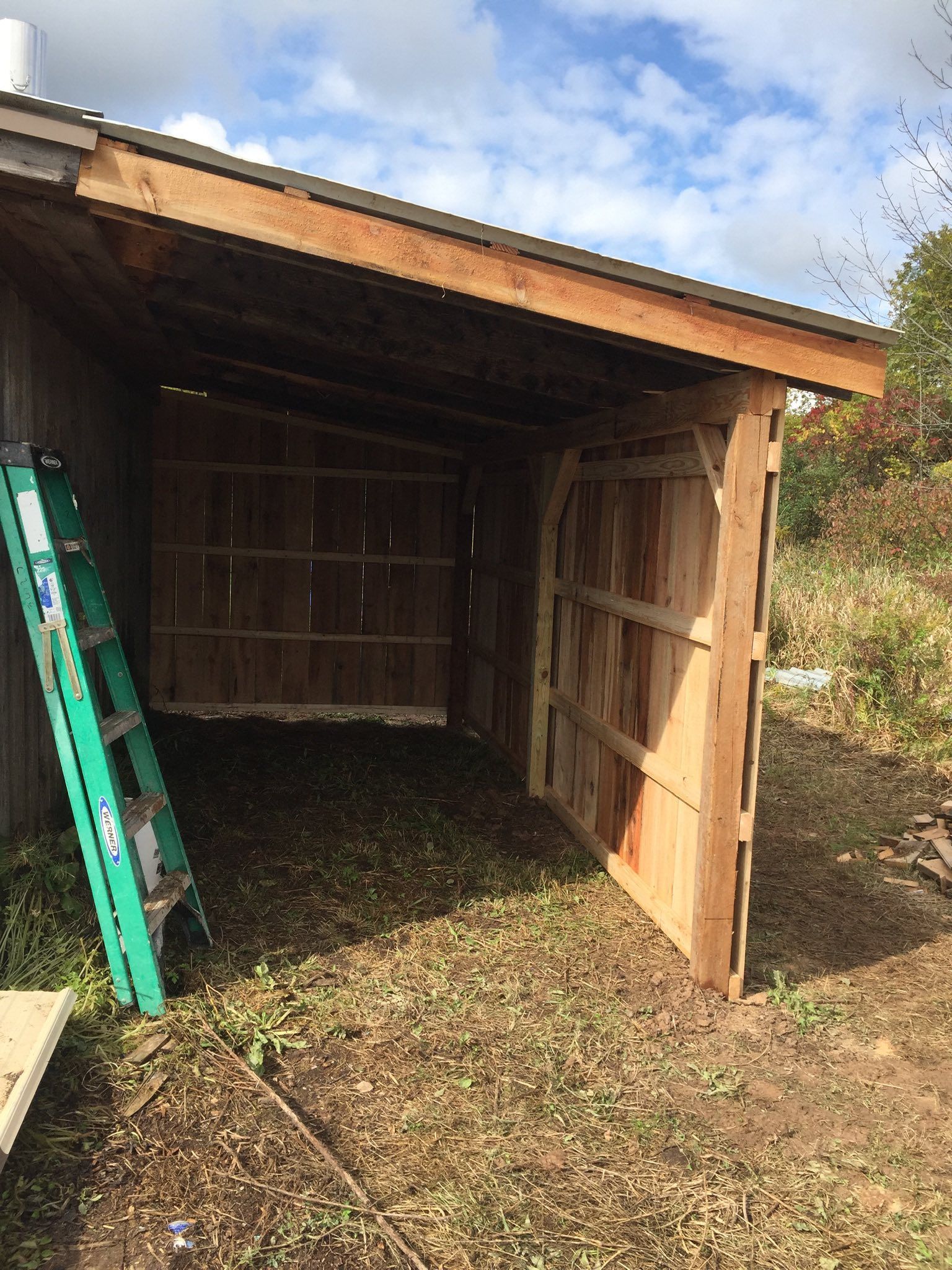 A partially built shed with a green ladder leaning against it; the shed's interior is visible.