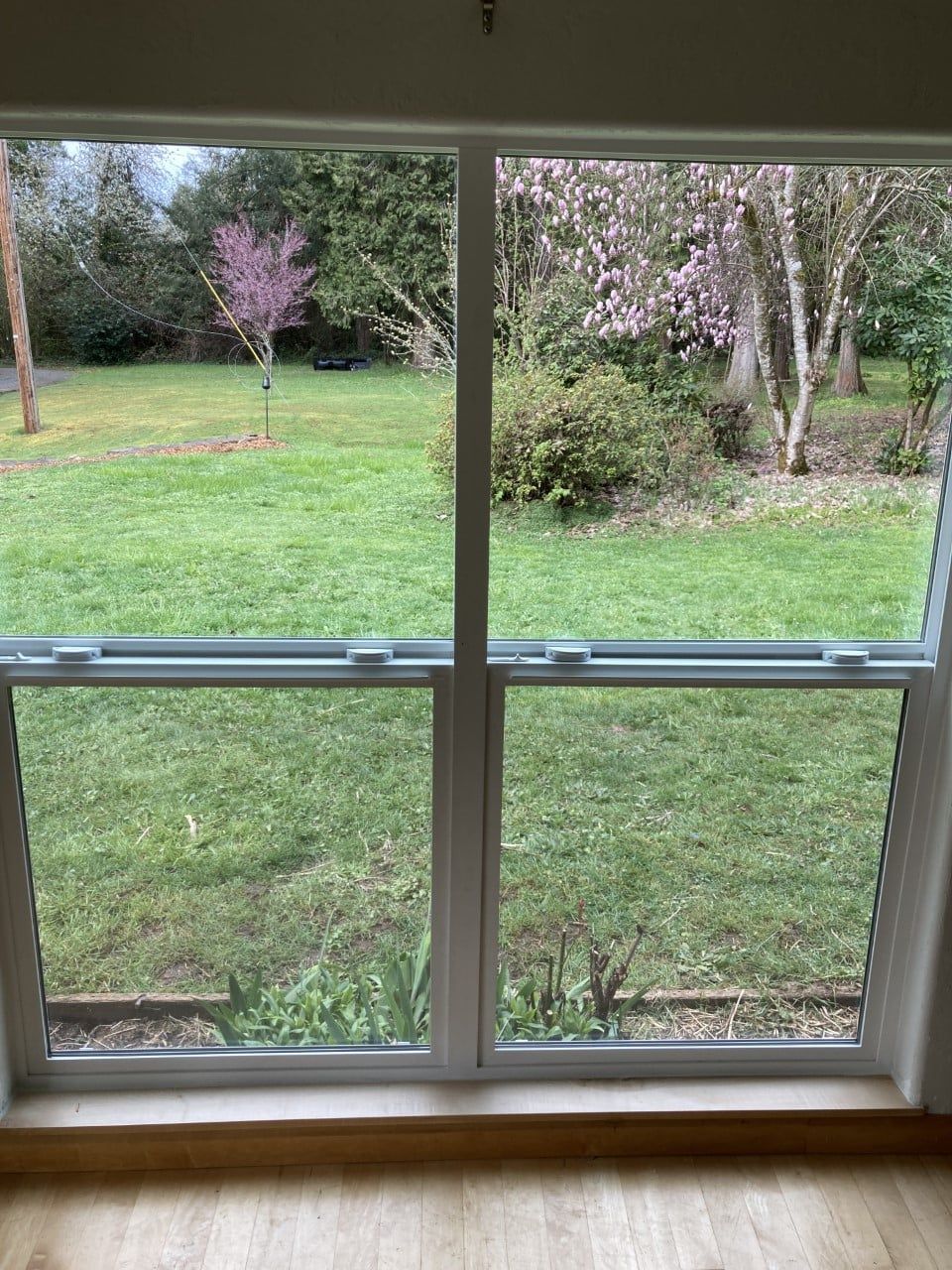 A large window with a view of a lush green field.