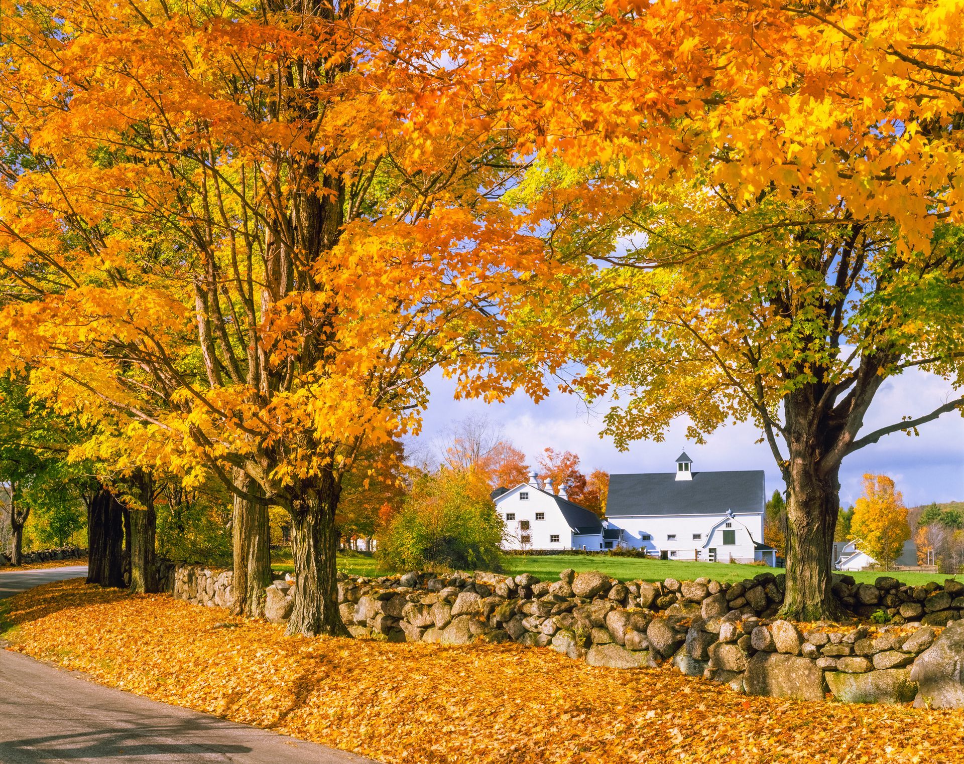 Autumn foliage frames a white farmhouse and stone wall.