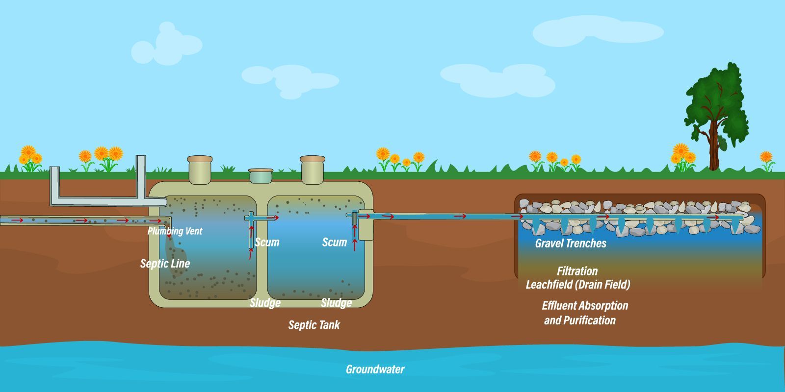septic drain field diagram